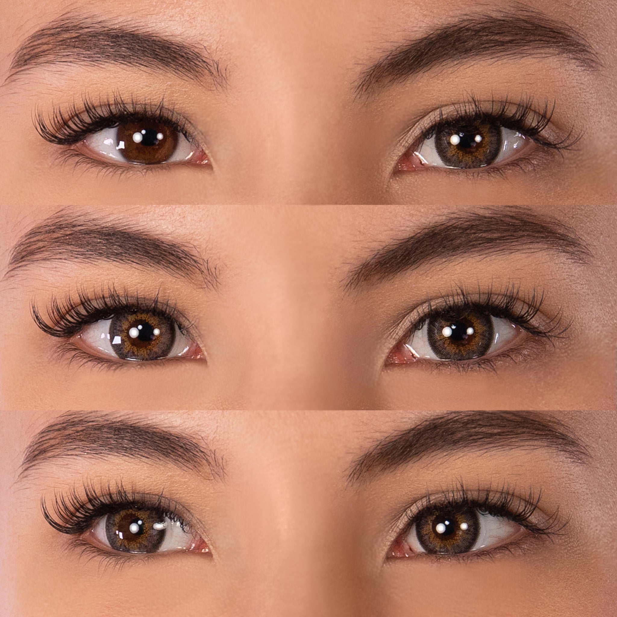PRIMAL Sunrise Ash lentilles grises miel marron