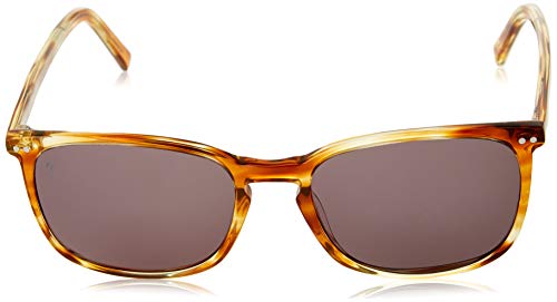Rodenstock Young Line lunettes de soleil carrées homme acétate UV400