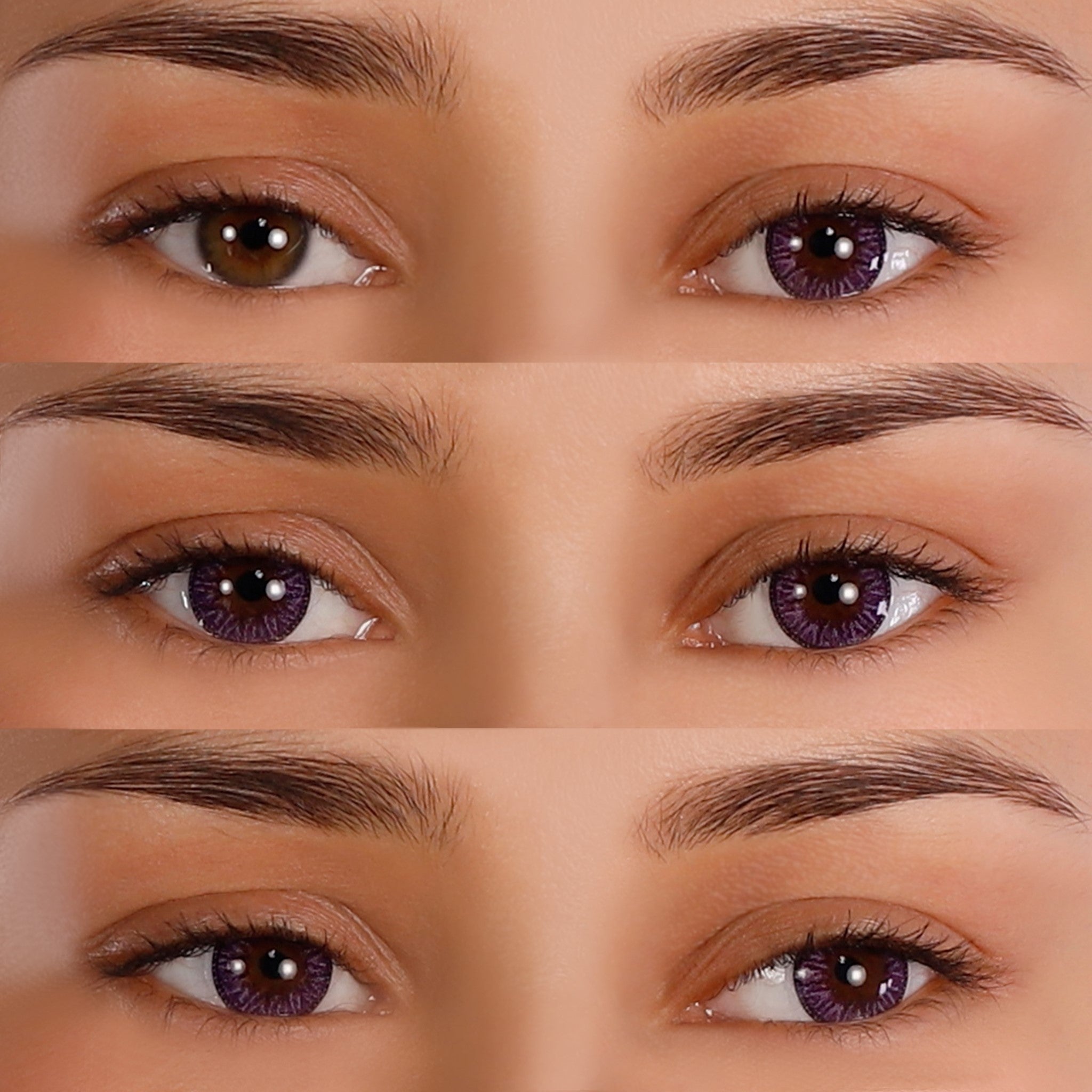 PRIMAL Enchanted Lilac lentilles violettes naturelles