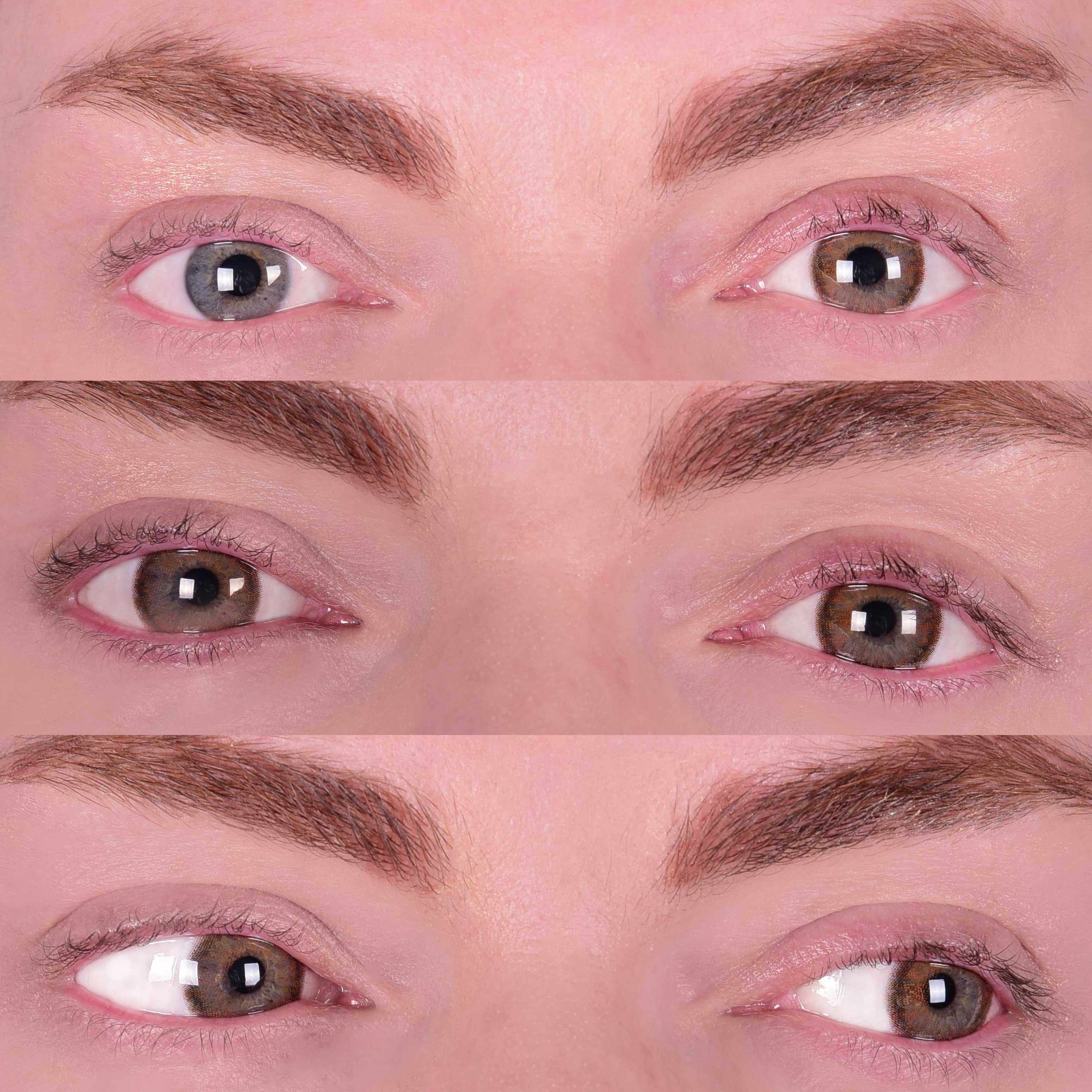 Primal Twilight Hazel lentilles marron naturelles 14,5 mm