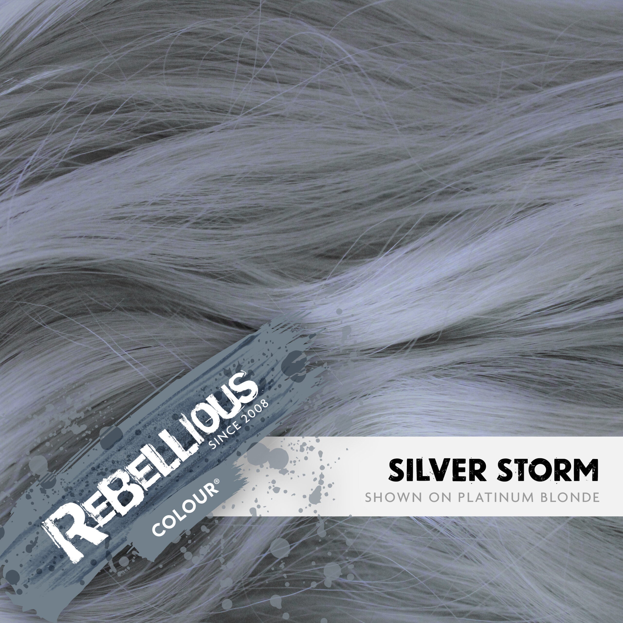 Rebellious Silver Storm coloration grise argent 100ml