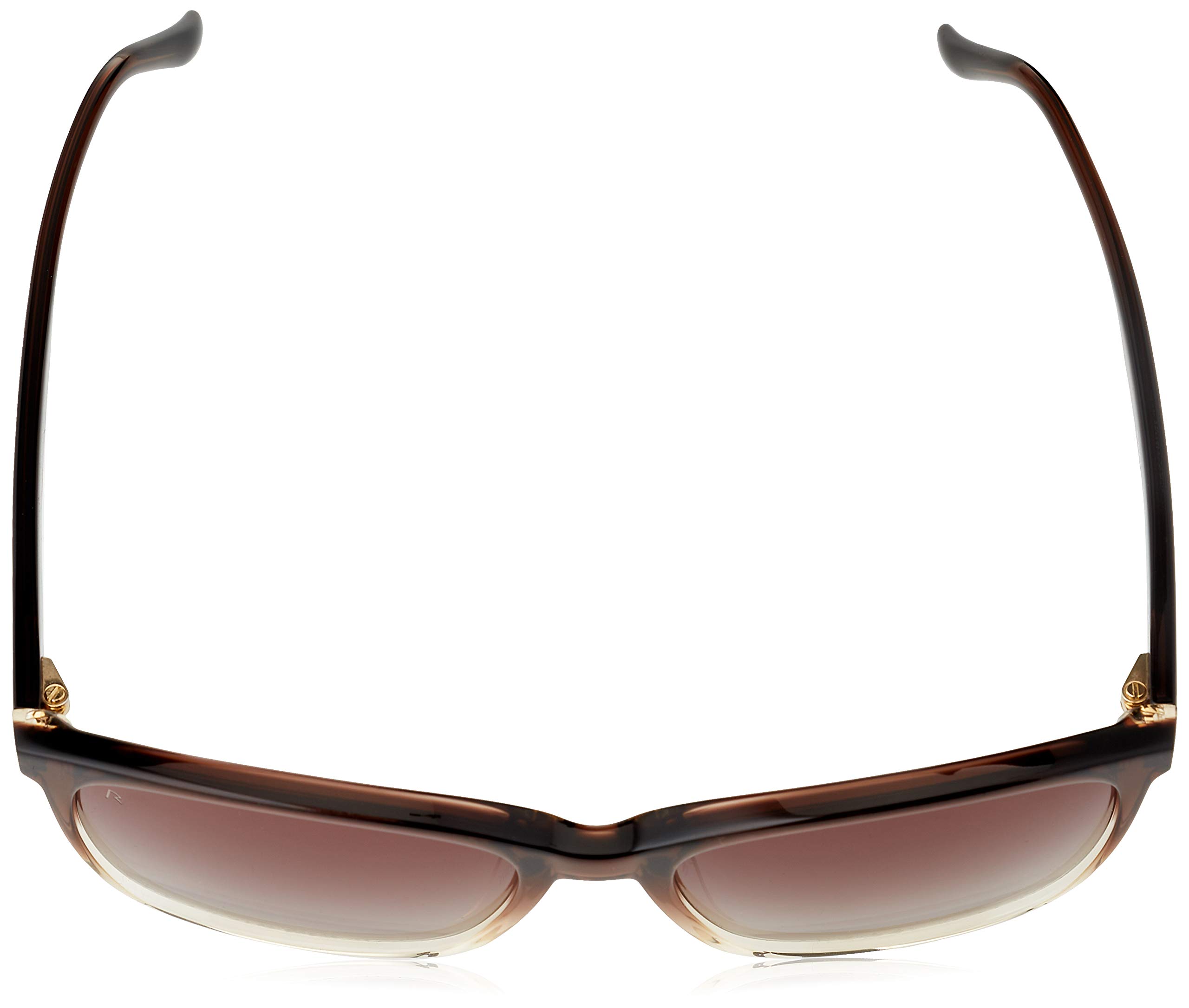Rodenstock Signature Line lunettes solaires modernes homme plastique