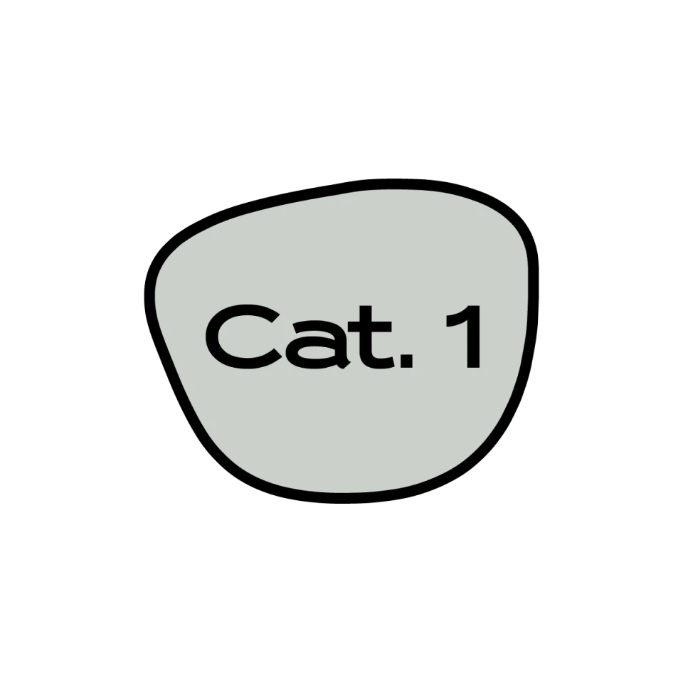 Metaoptics Cat.1 verres progressifs teintés gris-vert