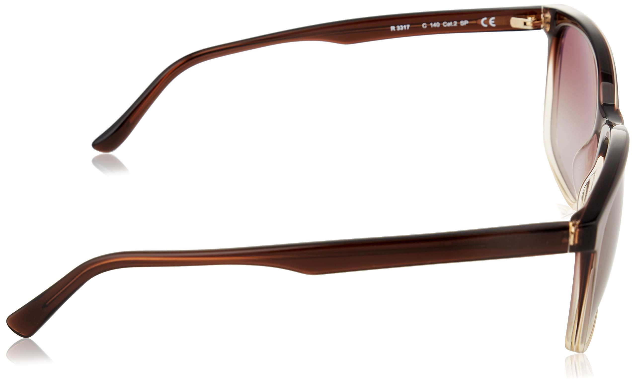 Rodenstock Signature Line lunettes solaires modernes homme plastique