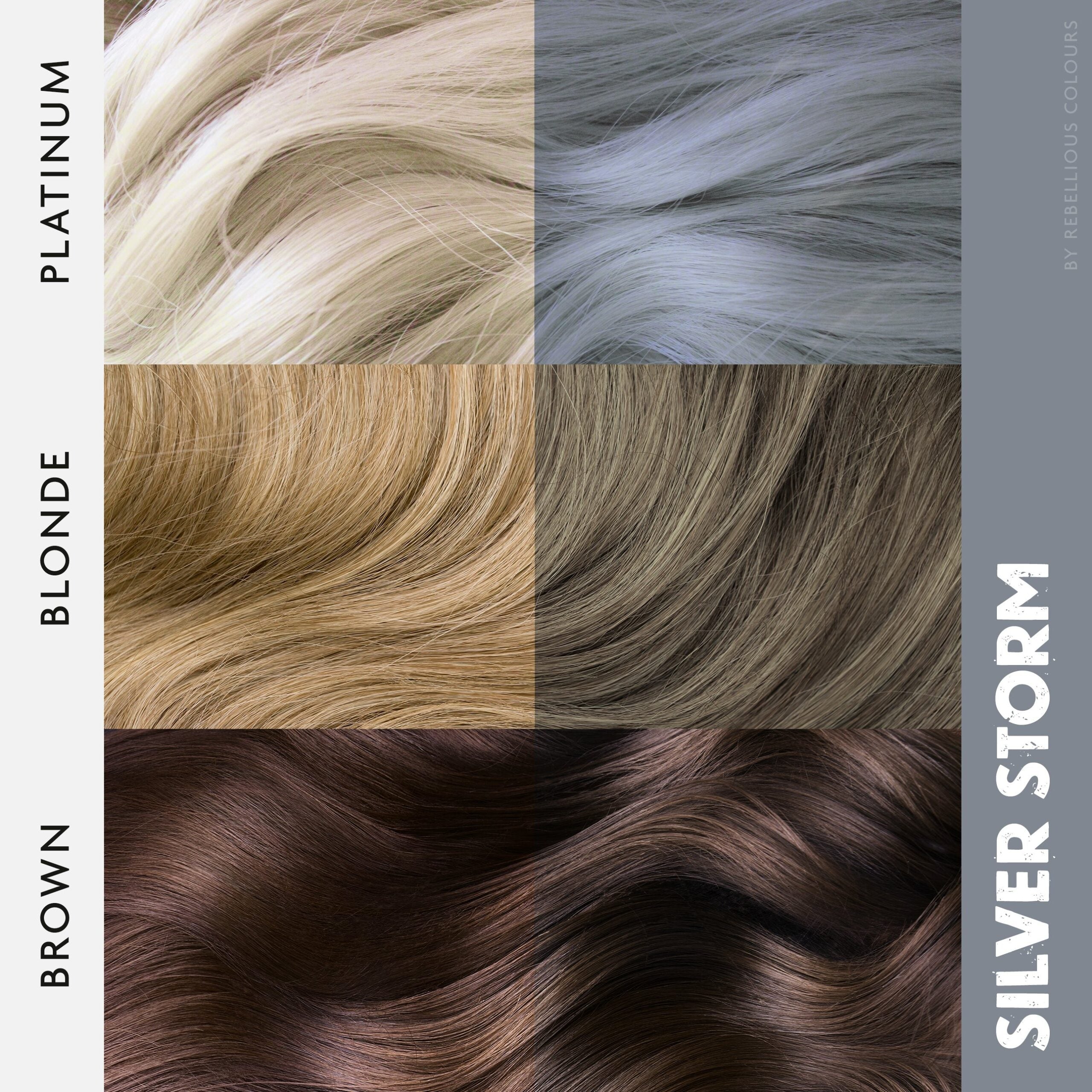 Rebellious Silver Storm coloration grise argent 100ml