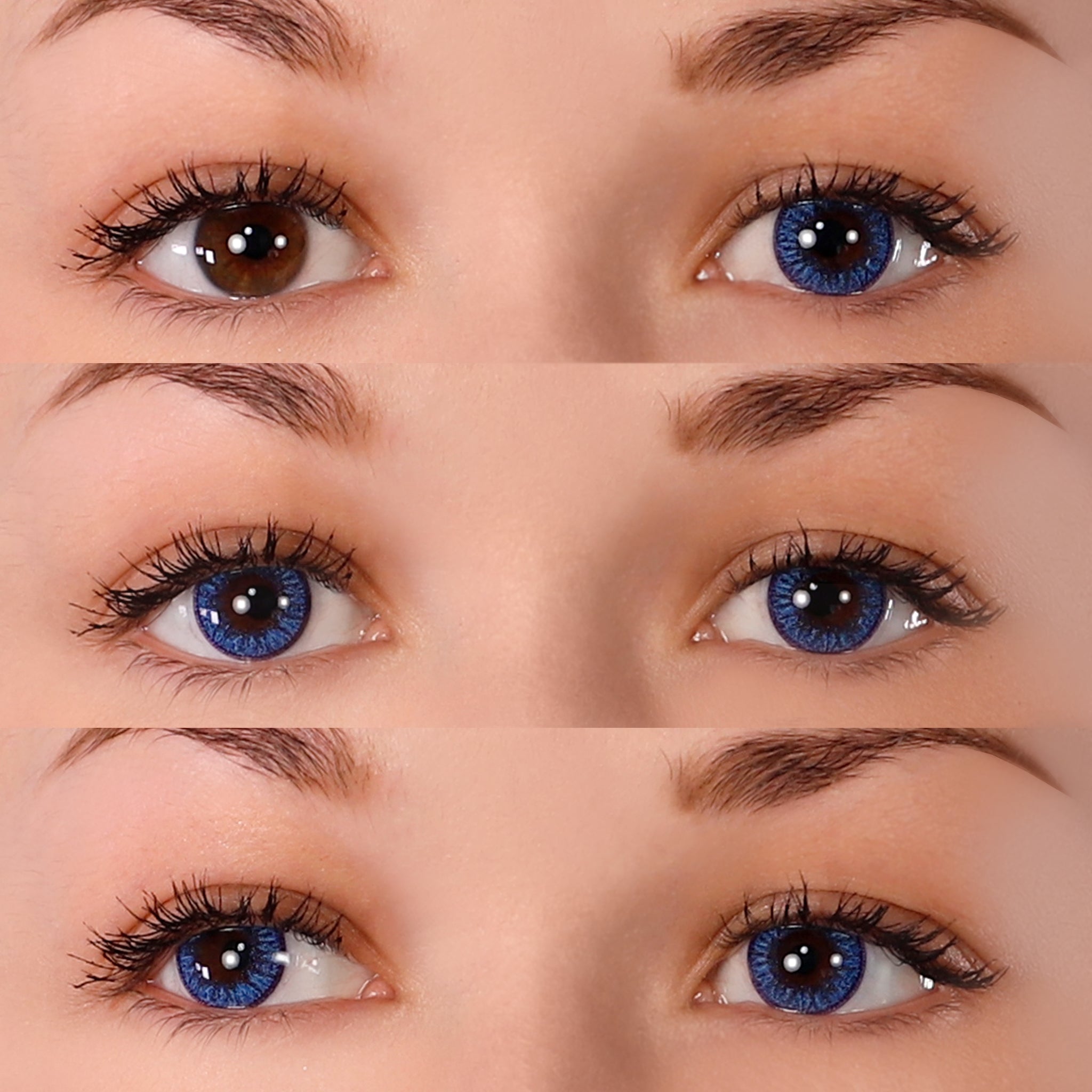 PRIMAL Enchanted Azure lentilles bleues naturelles