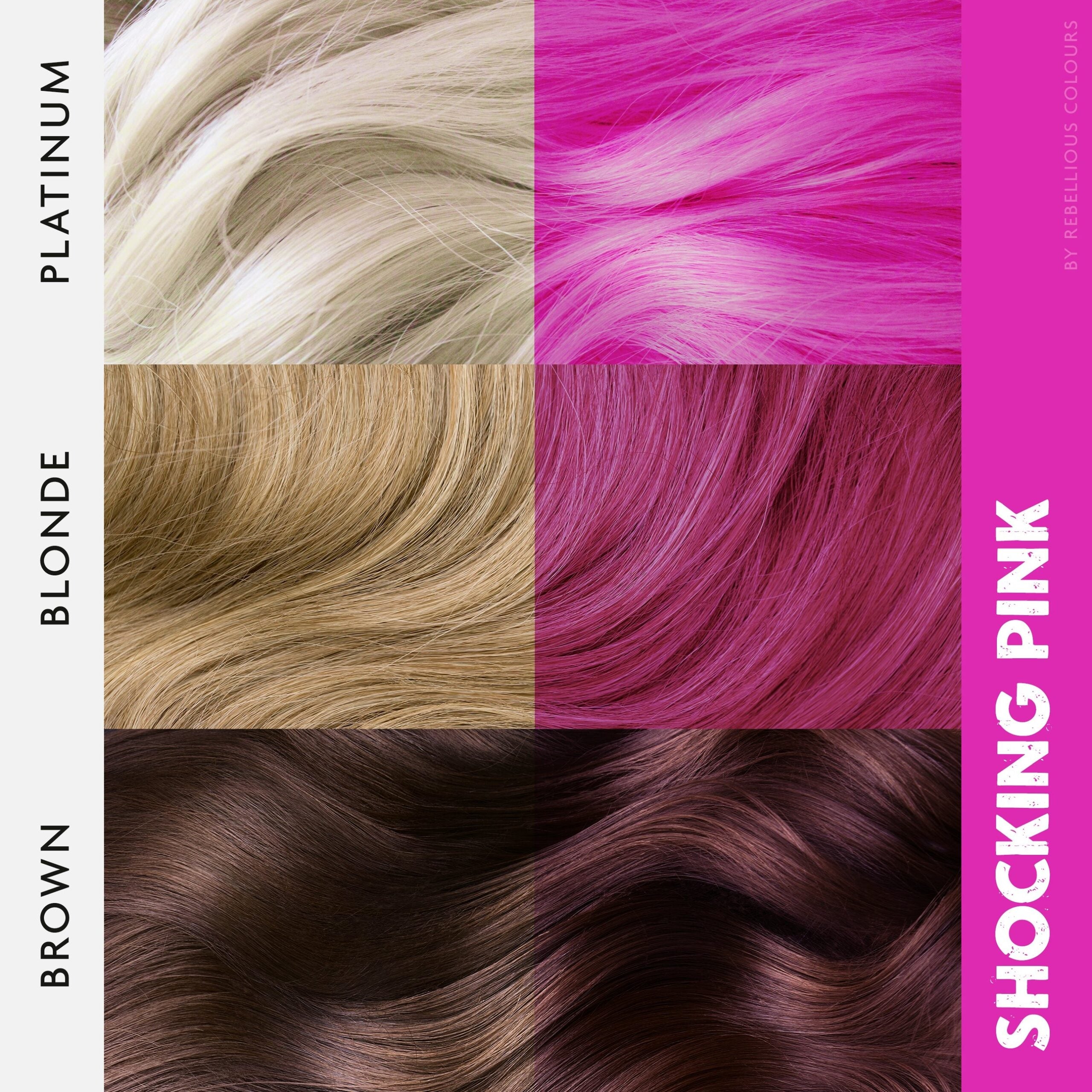 Rebellious Shocking Pink coloration rose 100 ml