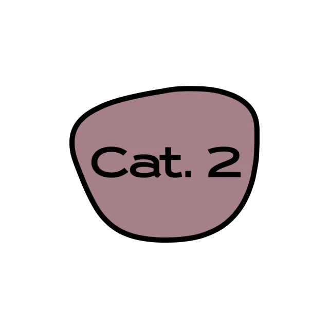 METAOPTICS Verres Miroir Cat 2 Progressifs Pourpre
