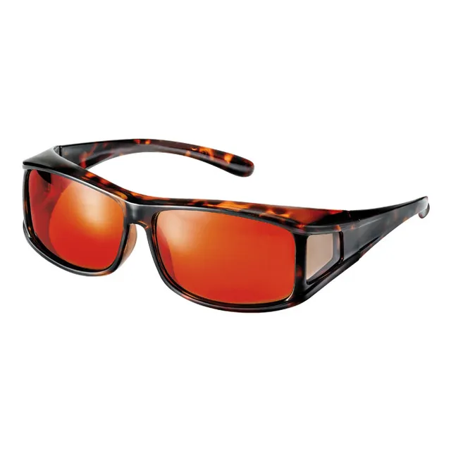 JHB 324Ebv surlunettes basse vision