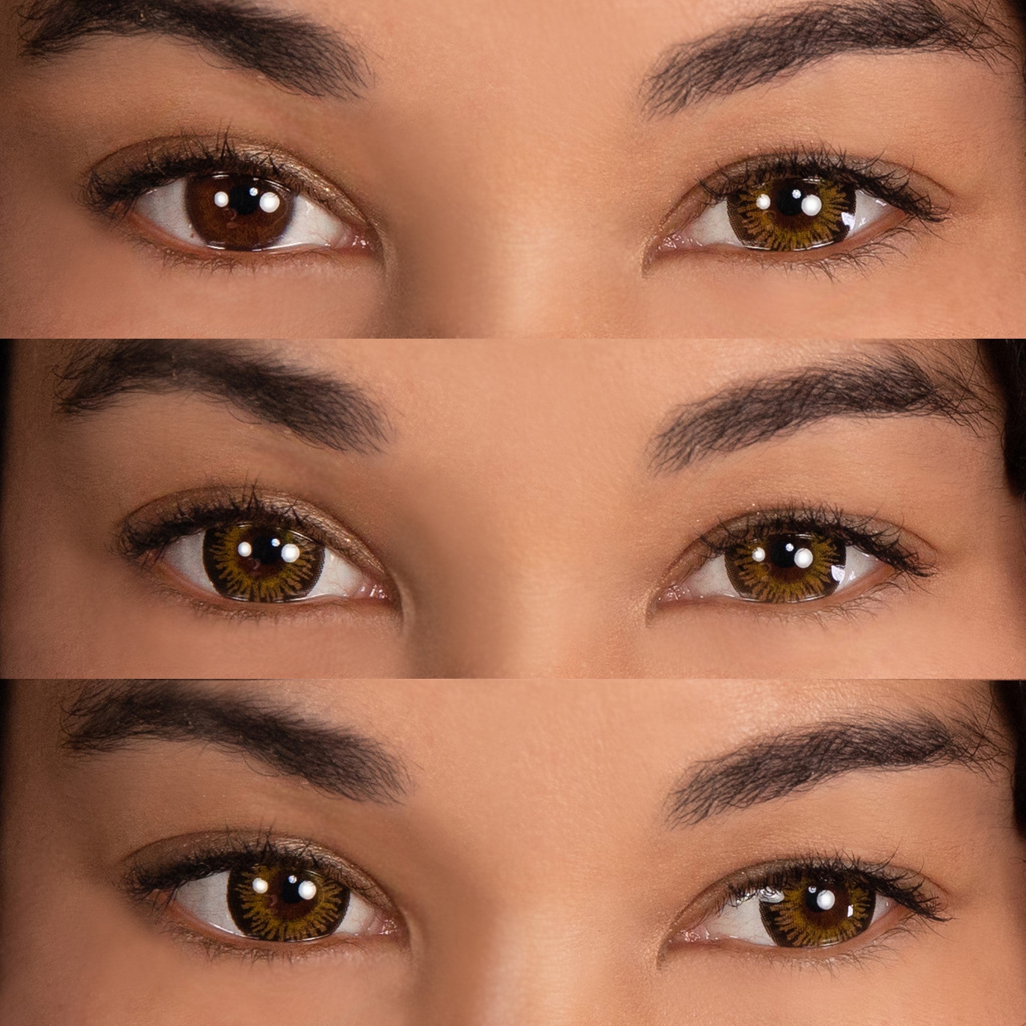 Primal Temptress Chestnut lentilles marron miel 14.5 mm