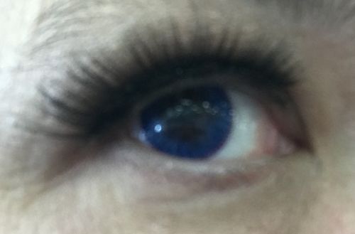 PRIMAL Enchanted Azure lentilles bleues naturelles