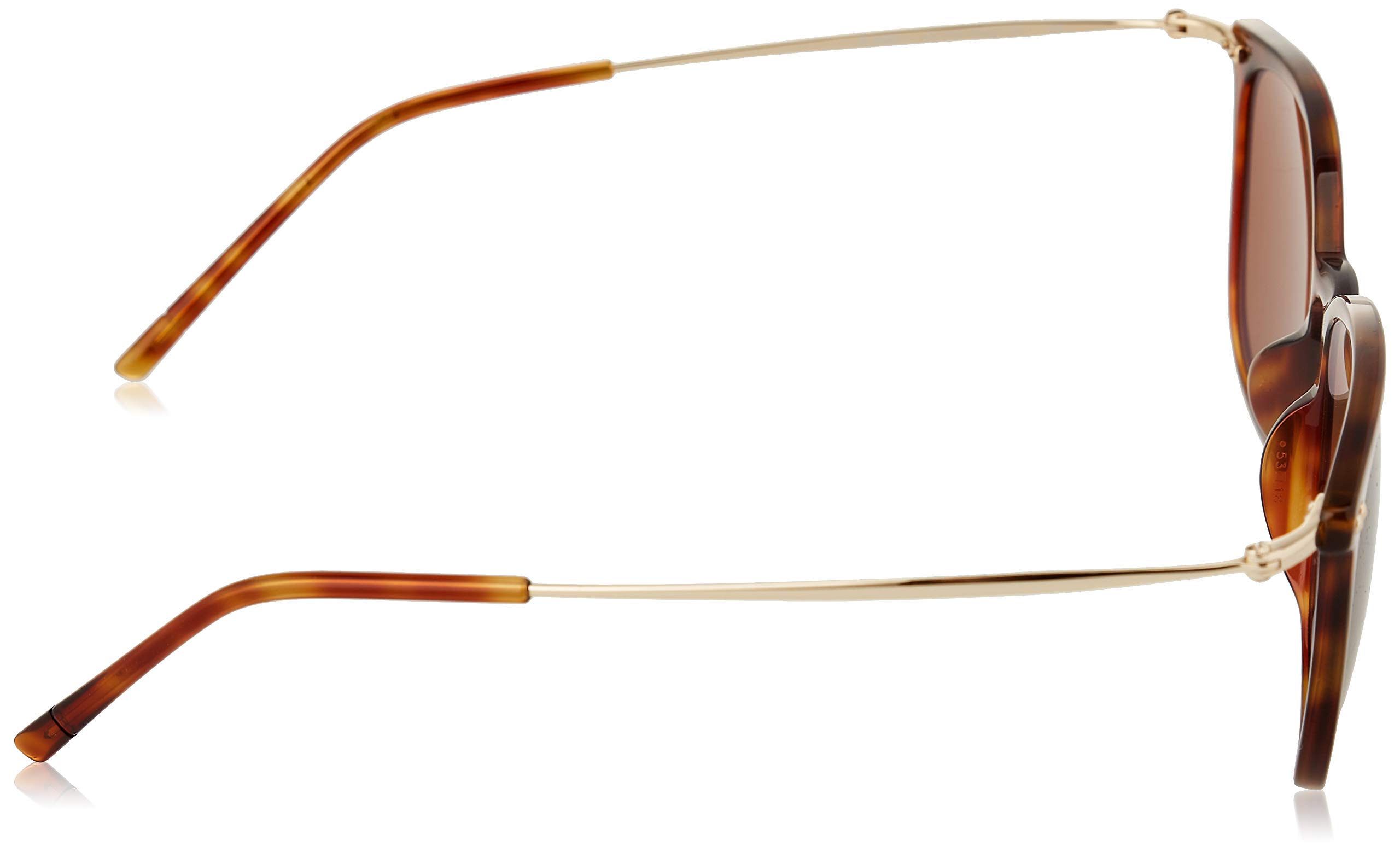 Rodenstock Signature Line lunettes de soleil carrées homme plastique UV400