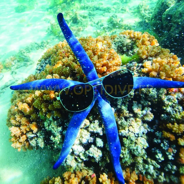 OptiDive Montage verres correcteurs masque neuf progressif