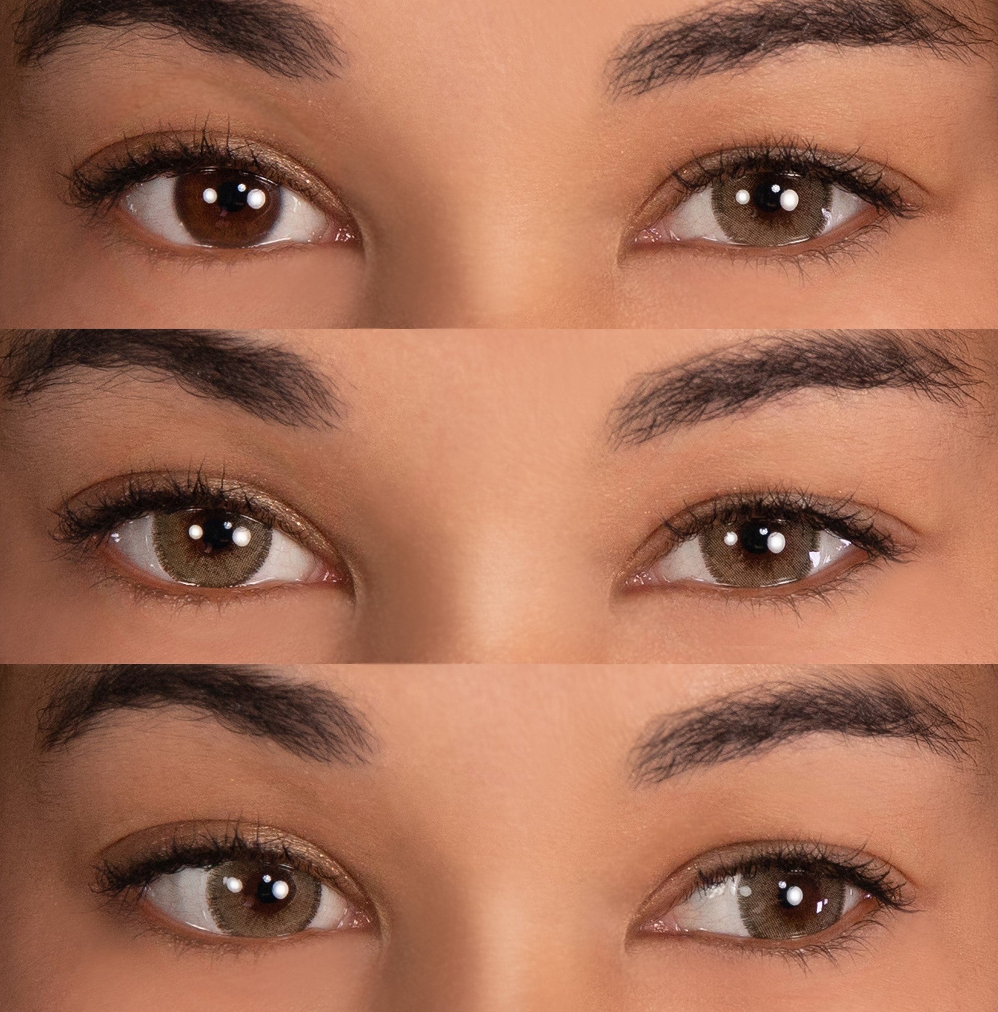 PRIMAL Charm Chestnut lentilles marron noisette 14,2 mm