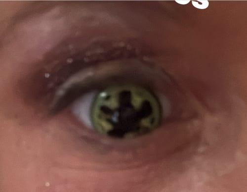 PRIMAL Steampunk lentilles contact dorées motif engrenages