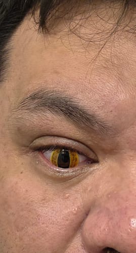 PRIMAL Sauron lentilles de contact rouges œil reptile