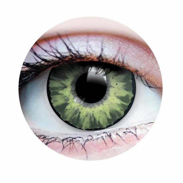 PRIMAL Delightful Jade lentilles vertes naturelles